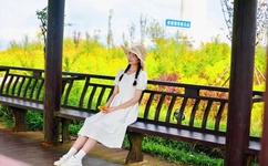 免费万古神帝张若尘完本